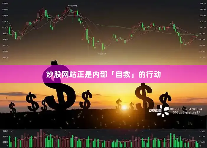 炒股网站正是内部「自救」的行动