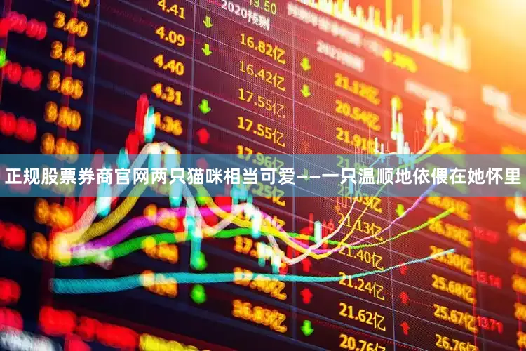 正规股票券商官网两只猫咪相当可爱——一只温顺地依偎在她怀里